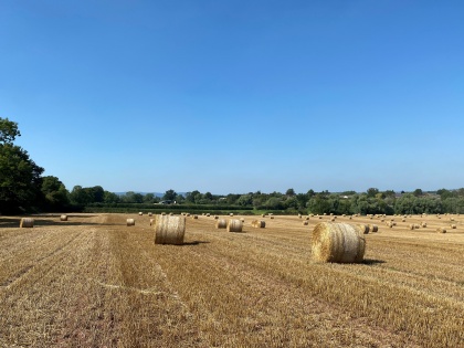The Sustainable Farming Incentive - How can I offset my reducing BPS payment?